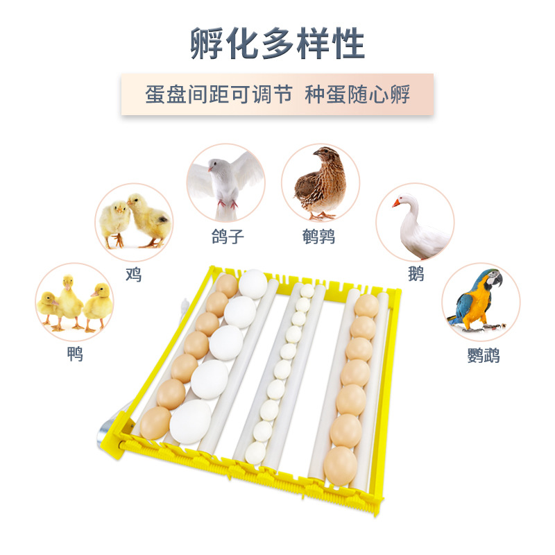 42 Unidades de doble potencia rodillo inteligente incubadora automática pequeño hogar pollo pato codorniz paloma incubadora