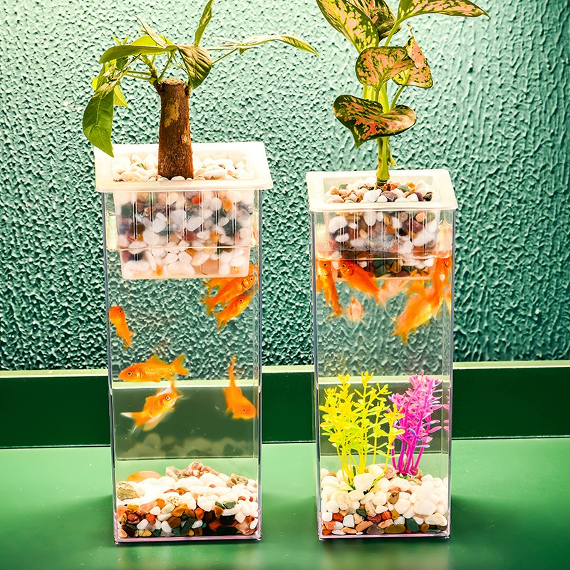 Transparent square rich bamboo hydroponic flower vase ornaments fish tank container goldfish green plant ornamental micro landscape ecological tank