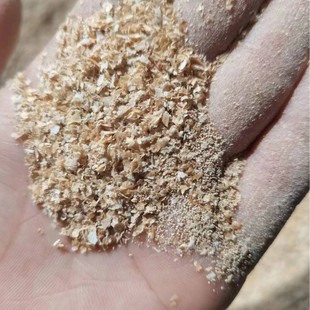 �S���x������x�x�ѷN�x�ѡ��N�x������x�x�ѡ����]�������g