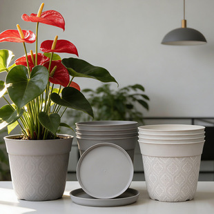 ���W�L����y�Ӻ����Ϙ�֬�͹Ÿ�������ƾG�}�A�ھGֲ���s����