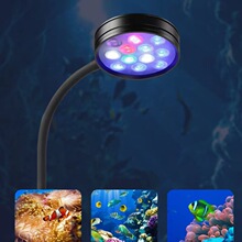 ���ן�΢����ˮɺ����le�~�e�����ˮ�݊A��ȫ���V�a���