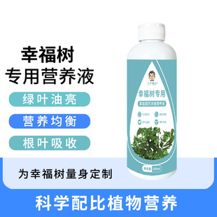 �����˂����^�Ҹ��䌣�àI�BҺ�����B���ܾGֲˮ��ͨ����ֲ��
