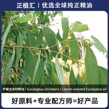 ��ֲ�R�����ȼ������͙������͆η���޹���ͷ��������yƷԭ������