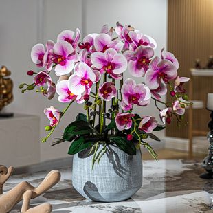 ��ʽ�����m���滨�[�����|�͏d�ָмٻ��������b��滨������