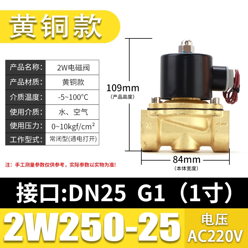 Brass model 2W250-25【DN25-1 inch】AC220V