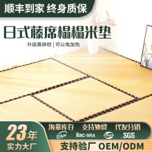 日式榻榻米垫子地铺凉席床垫定踏踏米椰棕做卧室电加热拼接炕垫
