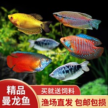 �����~�Ꭷ�^�p�~�{�����S������������~�����R�׻��w��̖��ˮ�~