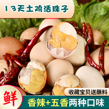 五香口味10枚活珠子新鲜13天半鸡 半蛋毛蛋商用钢化蛋毛鸡蛋 旺蛋