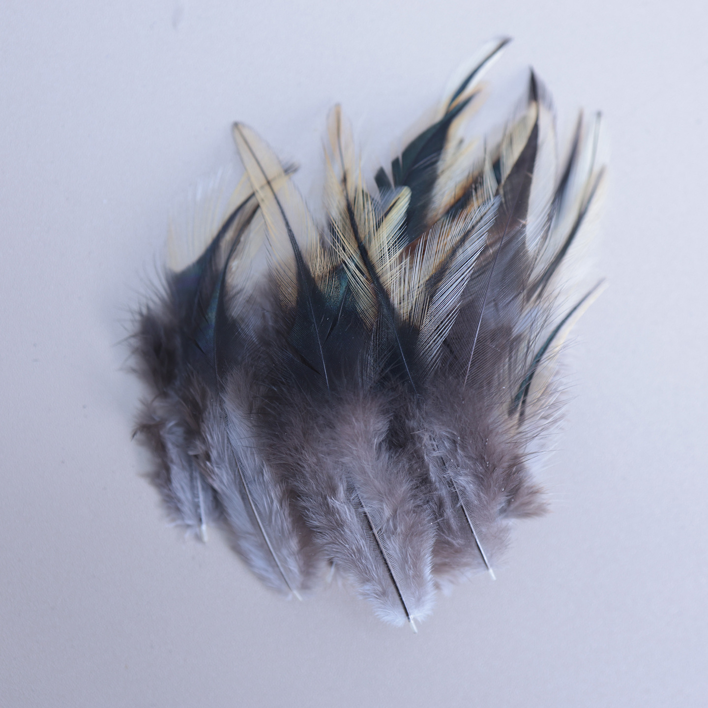 Fábrica al por mayor de bricolaje plumas pequeñas plumas naturales plumas de pollo salvaje plumas de pato jardín de infantes joyas hechas a mano gato divertido material de captura de sueños