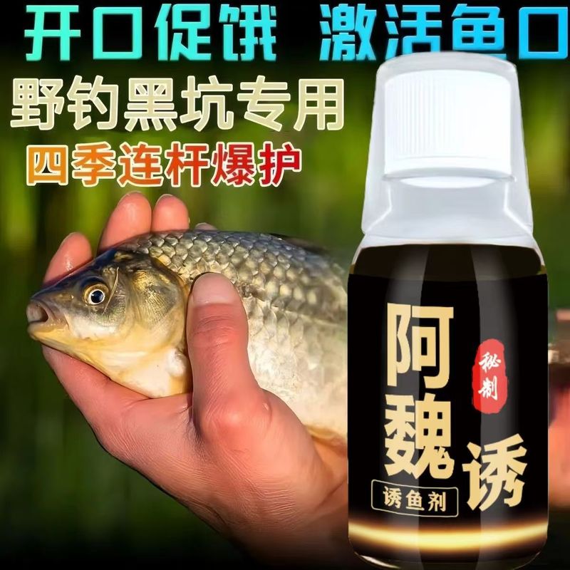 魚の味の王のメーカーは直接販売します。|undefined