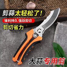 �r�ô���A�[���ü����ɝ���U����횹��߼������^���[��������