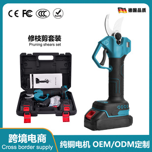 �oˢ����֦��С�ͼ��Ø�֦���o���ֳֳ�늈@�ּ���֦��ժ������