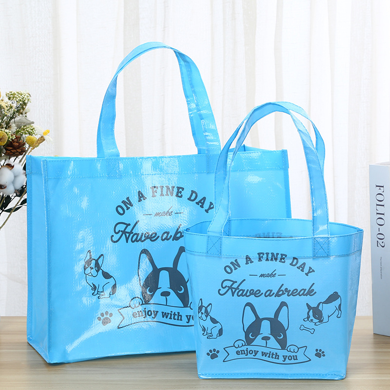 彩印PP塑料手提编织袋覆膜编织购物袋大容量收纳袋定制logo环保