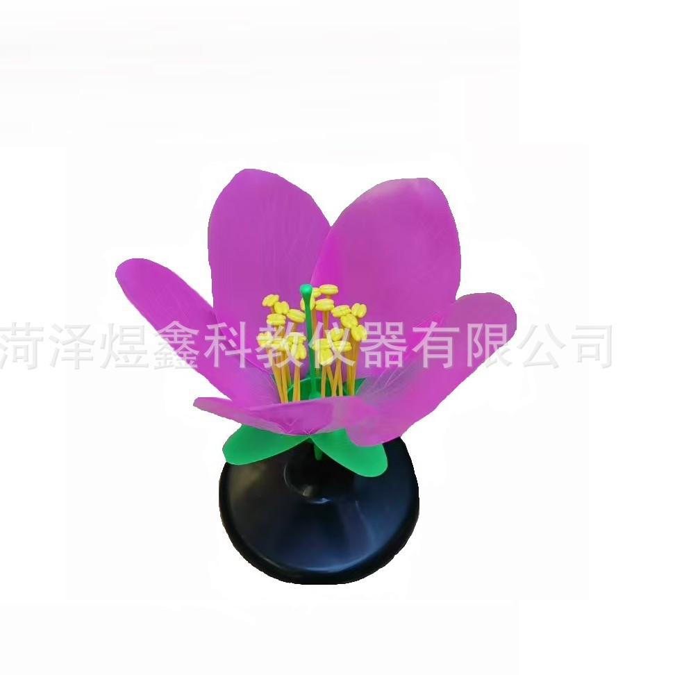 2025-04-04 17:28:01.jpg