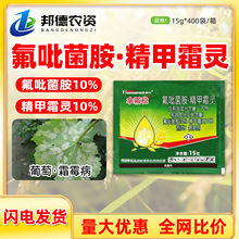 ��˪�� 30%������������˪�`˪ù���������������ѹ�������rș