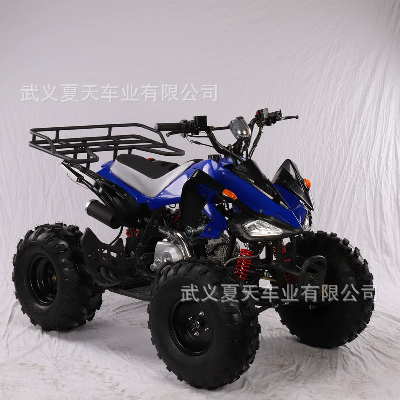 Квадроцикл бензиновый 110-125cc, пляжный автомобиль, внедорожный автомобиль, внешний вседорожный автомобиль, сельскохозяйственный автомобиль, новый снег car