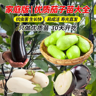 �ļ����������玧�����Լ޽���Ʒ�N���Ѻ��ѷN�Ѵ����߲�������