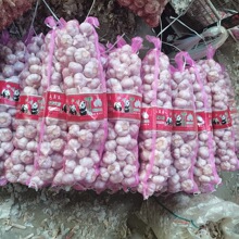 保鲜大蒜出口迪拜沙特 网袋装普白大蒜红蒜 金乡新季大蒜garlic