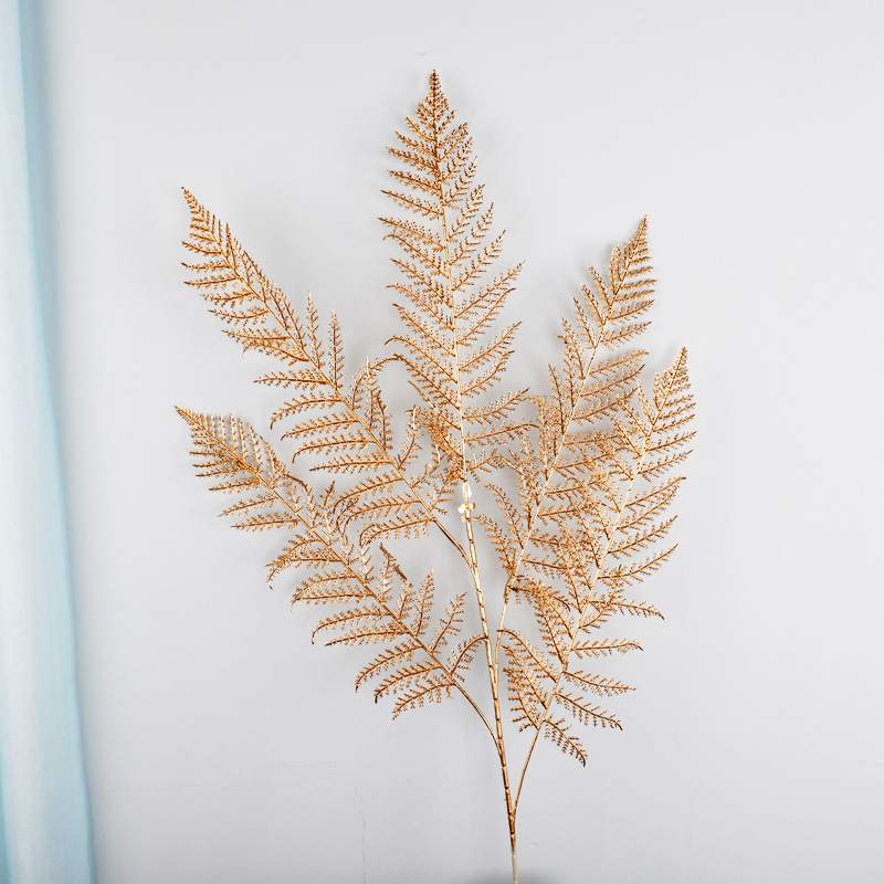 5叉波斯草,高106,叶宽15