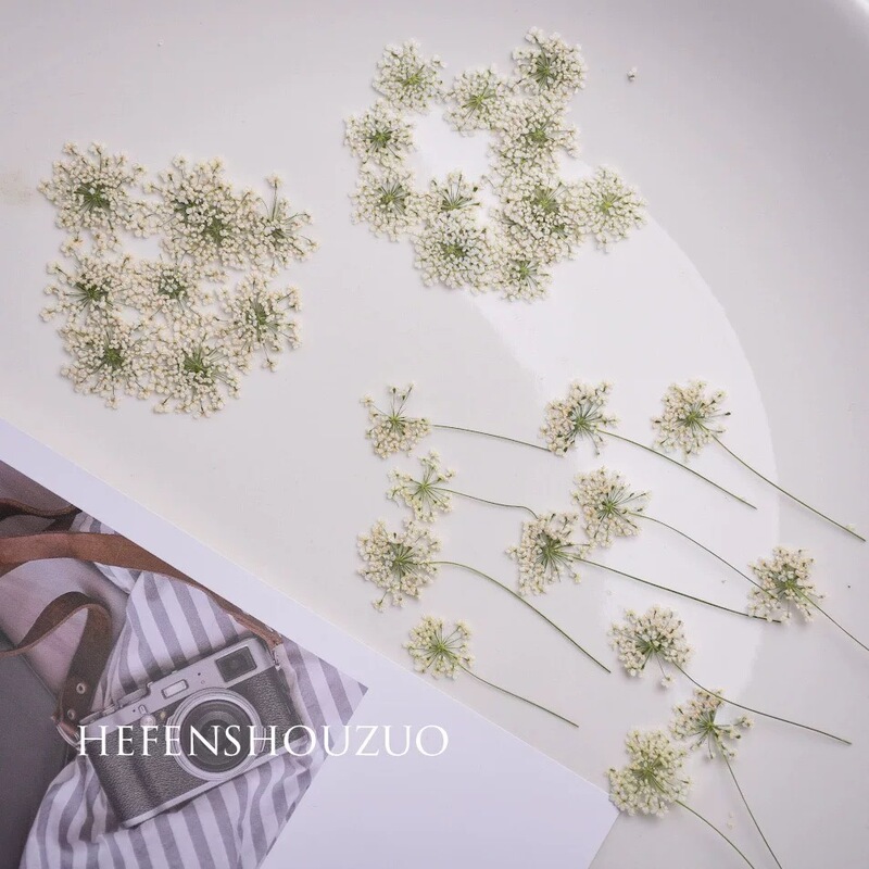 White Lace Flower with Branches Real Flower bouquet Snow Bead Flower Dried Flower Ornaments Embossed Decorative Painting Material Glue Dropping Jewelry White Lace Flower with Branches Real Flower bouquet Snow Bead Flower Dried Flower Ornaments Embossed Decorative Painting Material Glue Dropping Jewelry