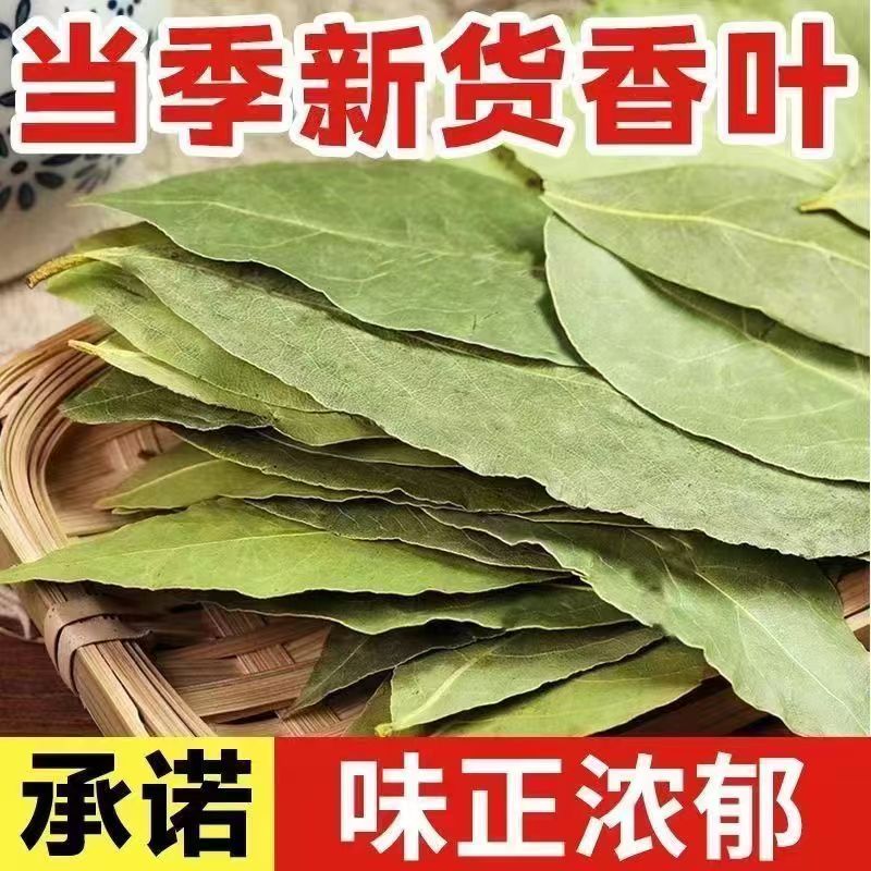[Only sell first-crop bay leaves] Authentic imported bay leaves net weight wholesale bay leaf seasoning spices seasoning sufficient dry