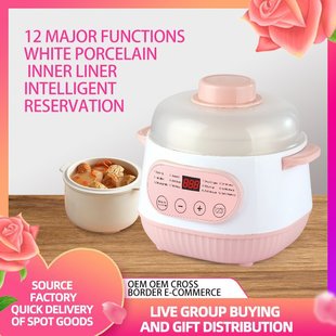 Electric Stew Pot Baby Food Supplement Soup Automatic Stew Pot Household Multi-Functional Bird's Nest Water-Proof Stew Porridge Ceramic Electric Stew Pot