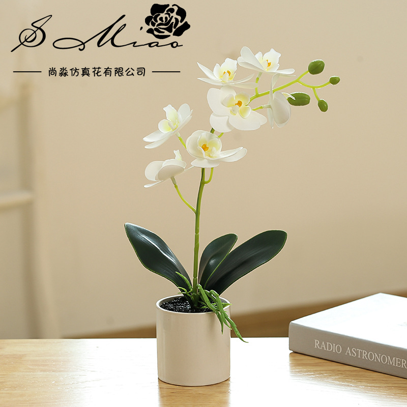 Flores artificiales con textura de película impresa en 3D, bonsái de orquídea Phalaenopsis, adornos creativos, flores artificiales directamente del fabricante, plantas artificiales en maceta image 11