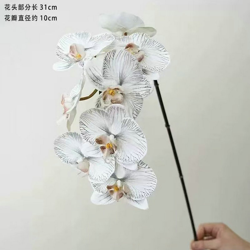 110424 블랙