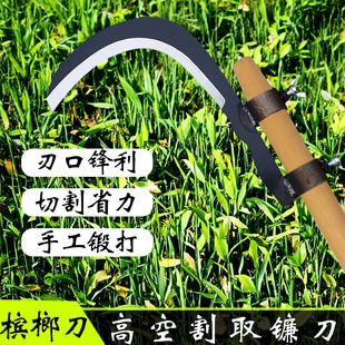 �r�ø߿��L�U�����r��砵���ݵ����~�����ݹ����L��