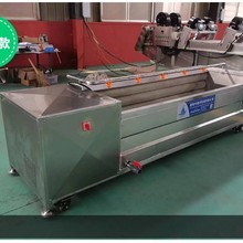 山东批发毛辊清洗设备毛刷干枣椰枣红枣清洗干洗去皮去泥机