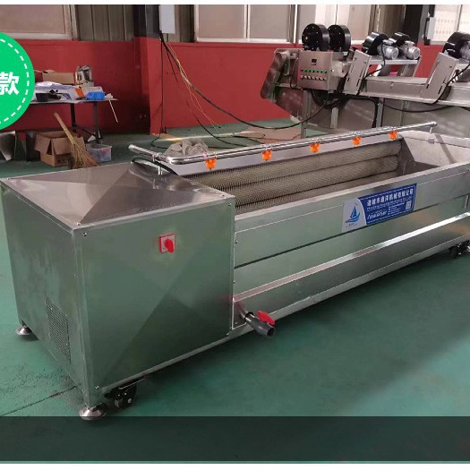 山东批发毛辊清洗设备毛刷干枣椰枣红枣清洗干洗去皮去泥机