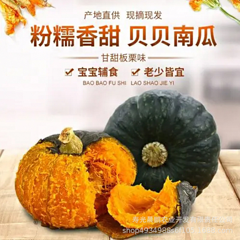 Authentic Beibei Pumpkin, Chestnut Flavored Small Pumpkin, Pink, Glutinous and Sweet, Directly Supplied from the Origin, Dropshipping Authentic Beibei Pumpkin, Chestnut Flavored Small Pumpkin, Pink, Glutinous and Sweet, Directly Supplied from the Origin, Dropshipping
