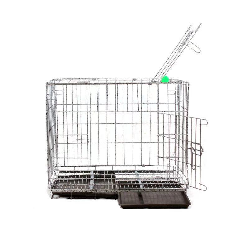 微信图片_20201214095710