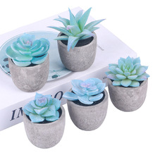 ��������⡿�������ֲ���辰����΢���^��������ֲ���b�Ʒ�[��