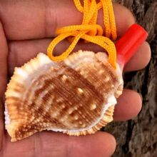 �S�ҹ���Ȼ������̺��ݿ���|���� ���Nؐ�����ݹ�ˇƷ��ͯ���