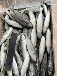 �����~���r���rˮ�a������~�������r�[�~�����~���~���l�Ј��N��