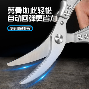 �N�������ü����P��u�Ǽ����~����������Z�๦�ܲ��P䓏N������