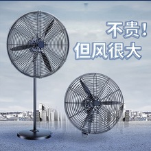 ���I��L�ȏ���ţ���ȴ��L�����ʱڒ�ʽ����ȩ���؏S�������