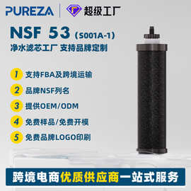 碧纯第二代载银碳棒净水重力水桶过滤芯BB9-2含银离子滤芯过滤器