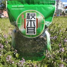 �´��d���X��؛�����ľ��ܛŴ��Ƭ500���z�|��ܛŴ