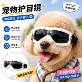 骑行眼镜;滑雪镜;宠物鞋靴