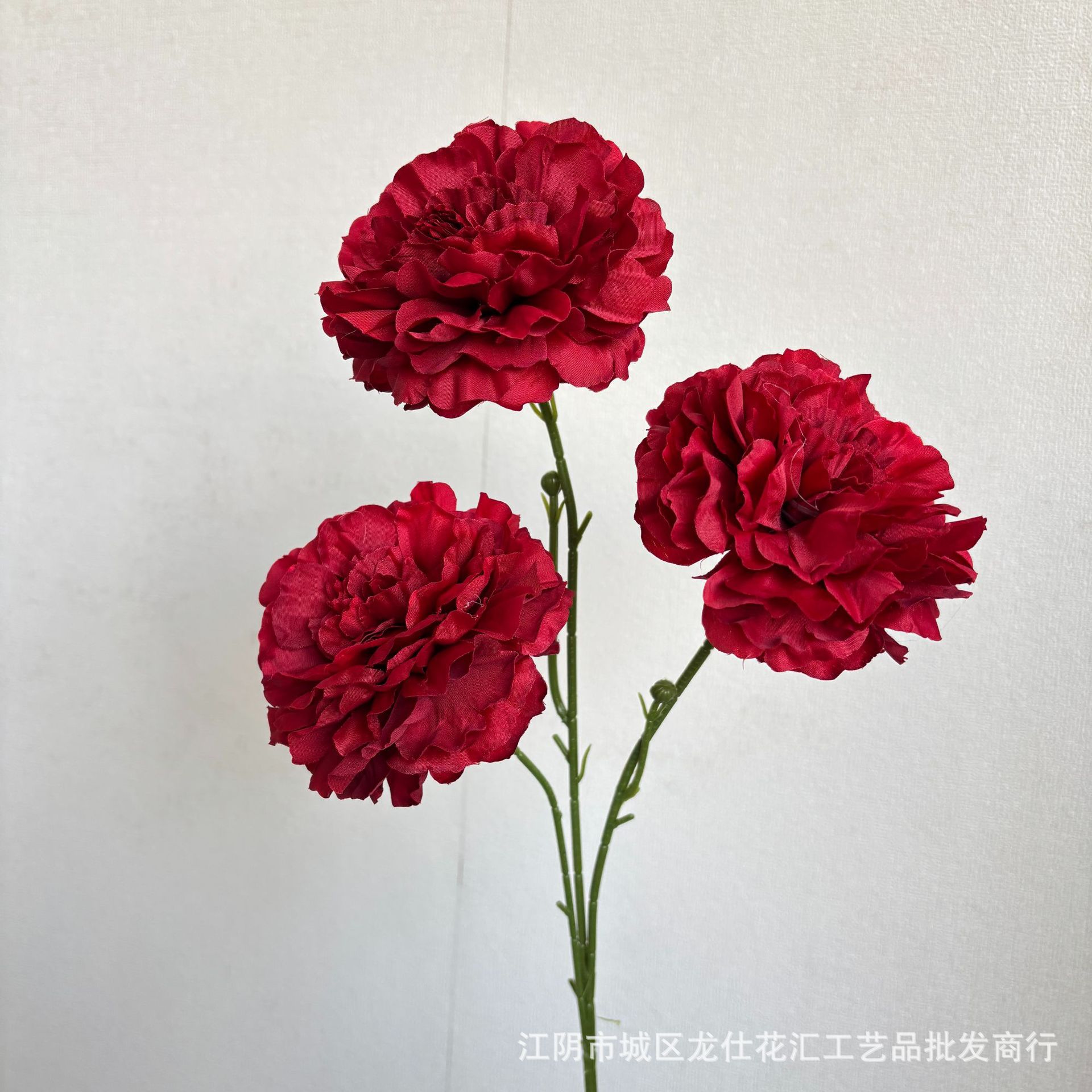 3개의 머리 라거스트로미아