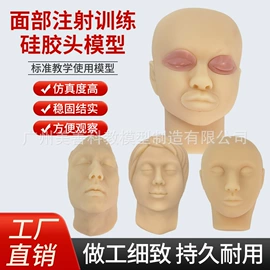 教学演示用品;其他模型玩具;医药教学器材