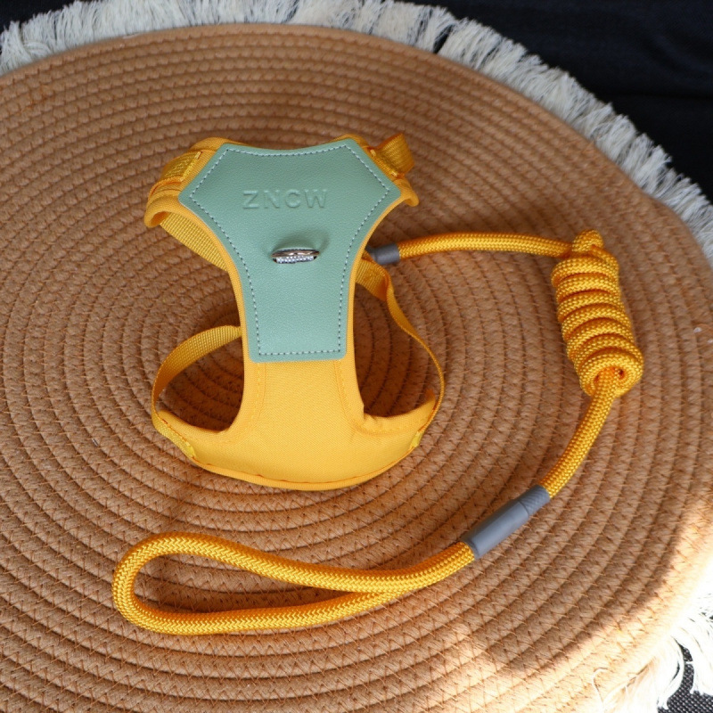 Schmutzabweisende Hundeleine, verstellbares Geschirr für kleine und mittlere Größen, atmungsaktives Seil, Weste für den Außenbereich_voghion.com