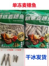 ���]���r����΃������~���q�t�x���r������~�_�h�y���~���