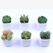 ֲ ٻմС辰ҾkҾGֲb[