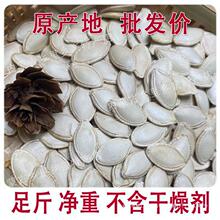 24年新货生南瓜子大片中片内蒙产地直发净重炒熟原味淡盐味