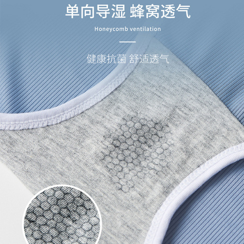 Ice Silk Underwear Thin Summer Breathable Trendy Girls Sports Briefs Antibacterial Mid-waist Seamless Women's Underwear Wholesale