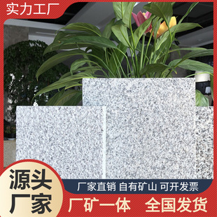 ֥��׻���廨���҈@��ͥԺ��֦���Ļ��u�^�Tʯ��ʯ��