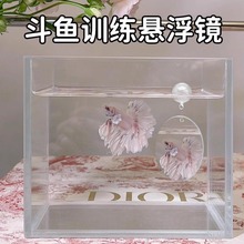 �~�׃����R���쾰չβ呟����ӑҸ������P̩�����~����Ӗ���R